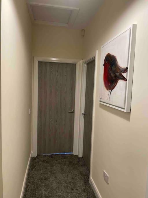 Close To Belfast City Centre.Modern Opened Planned Экстерьер фото