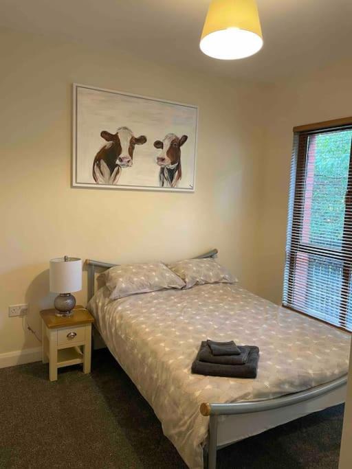 Close To Belfast City Centre.Modern Opened Planned Экстерьер фото