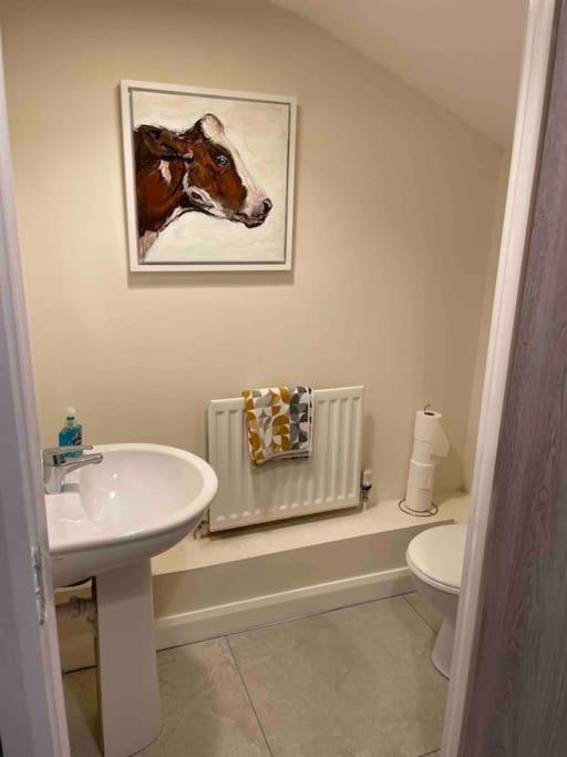 Close To Belfast City Centre.Modern Opened Planned Экстерьер фото