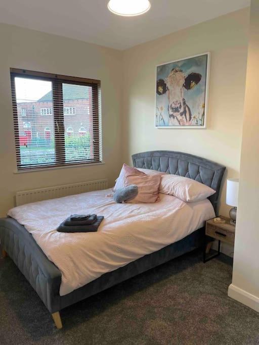 Close To Belfast City Centre.Modern Opened Planned Экстерьер фото